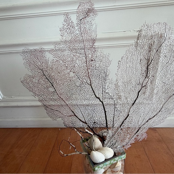 coral - Picture 4 of 5